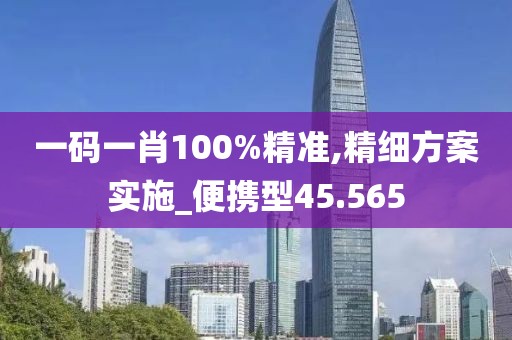 一码一肖100%精准,精细方案实施_便携型45.565