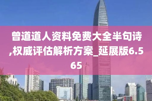 曾道道人资料免费大全半句诗,权威评估解析方案_延展版6.565