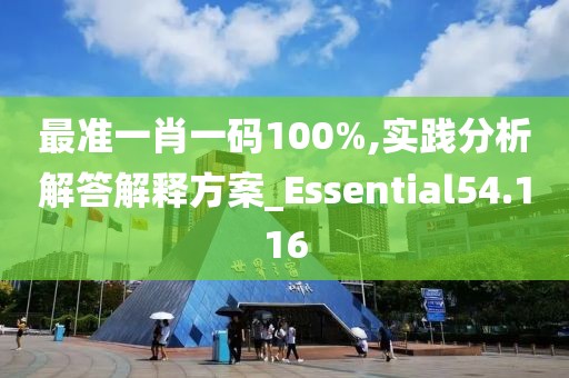 最准一肖一码100%,实践分析解答解释方案_Essential54.116
