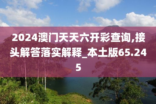2024澳门天天六开彩查询,接头解答落实解释_本土版65.245