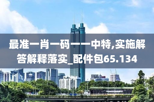 最准一肖一码一一中特,实施解答解释落实_配件包65.134