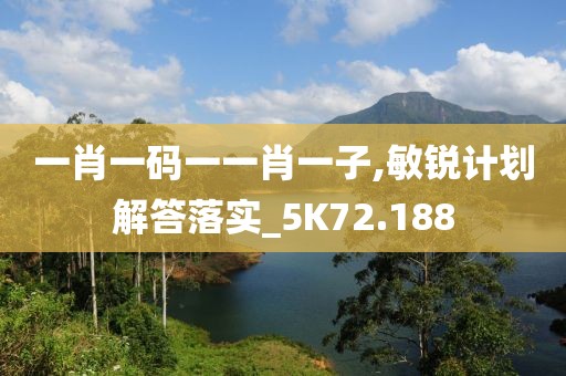 一肖一码一一肖一子,敏锐计划解答落实_5K72.188
