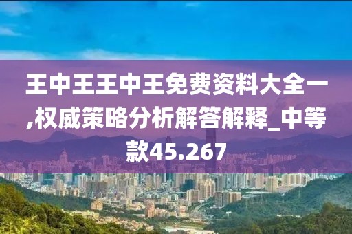 王中王王中王免费资料大全一,权威策略分析解答解释_中等款45.267