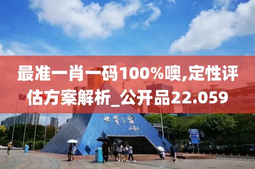 最准一肖一码100%噢,定性评估方案解析_公开品22.059