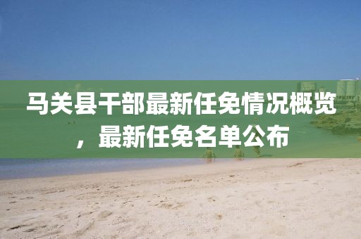 马关县干部最新任免情况概览，最新任免名单公布