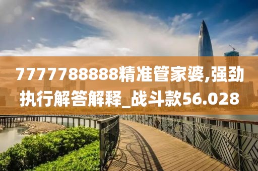 7777788888精准管家婆,强劲执行解答解释_战斗款56.028