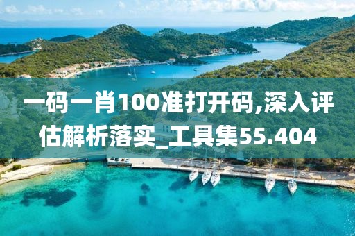 一码一肖100准打开码,深入评估解析落实_工具集55.404