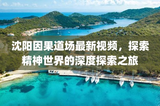 沈阳因果道场最新视频，探索精神世界的深度探索之旅