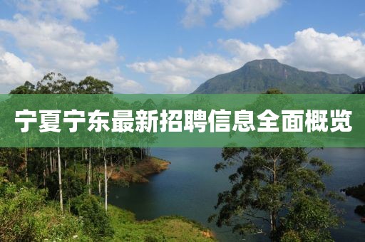 宁夏宁东最新招聘信息全面概览