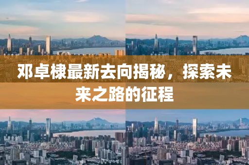 邓卓棣最新去向揭秘，探索未来之路的征程