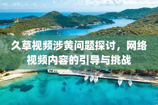 久草视频涉黄问题探讨，网络视频内容的引导与挑战