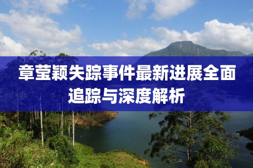章莹颖失踪事件最新进展全面追踪与深度解析
