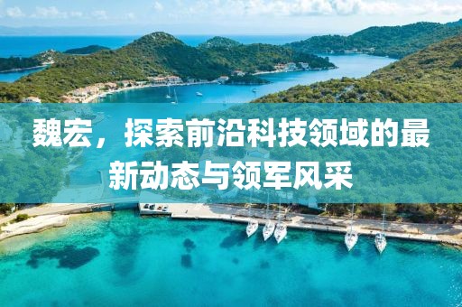 魏宏，探索前沿科技领域的最新动态与领军风采
