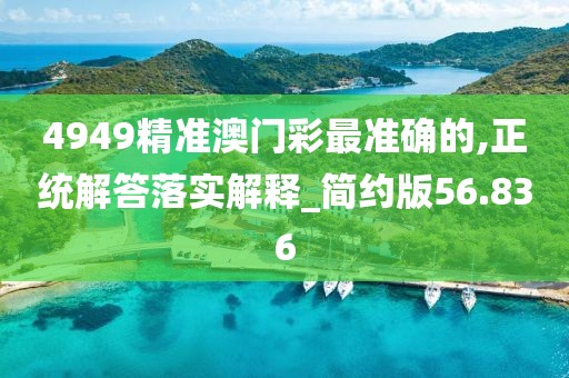 4949精准澳门彩最准确的,正统解答落实解释_简约版56.836