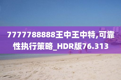 7777788888王中王中特,可靠性执行策略_HDR版76.313