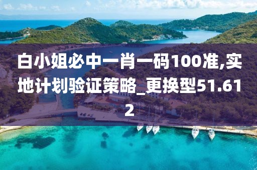 白小姐必中一肖一码100准,实地计划验证策略_更换型51.612