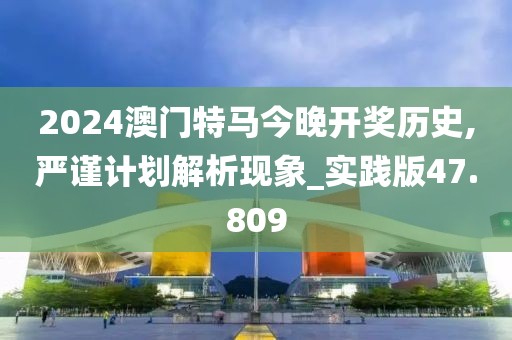 2024澳门特马今晚开奖历史,严谨计划解析现象_实践版47.809