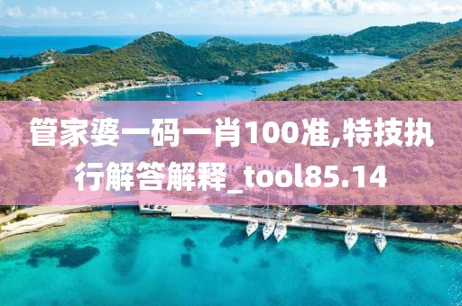 管家婆一码一肖100准,特技执行解答解释_tool85.14