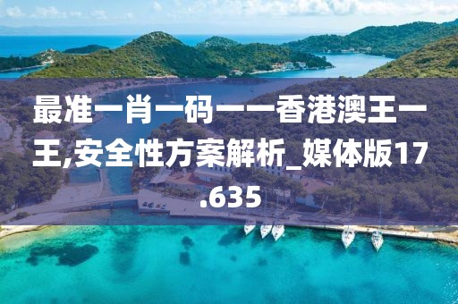最准一肖一码一一香港澳王一王,安全性方案解析_媒体版17.635