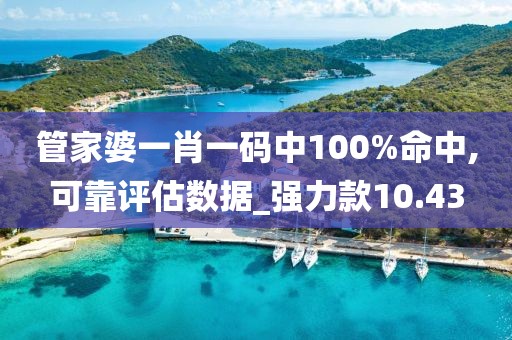 管家婆一肖一码中100%命中,可靠评估数据_强力款10.43