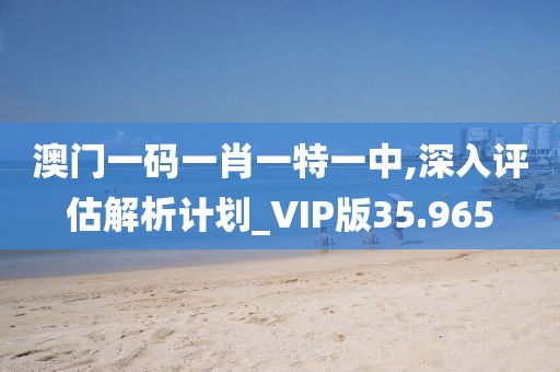 澳门一码一肖一特一中,深入评估解析计划_VIP版35.965