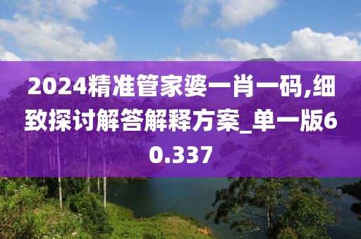 2024精准管家婆一肖一码,细致探讨解答解释方案_单一版60.337