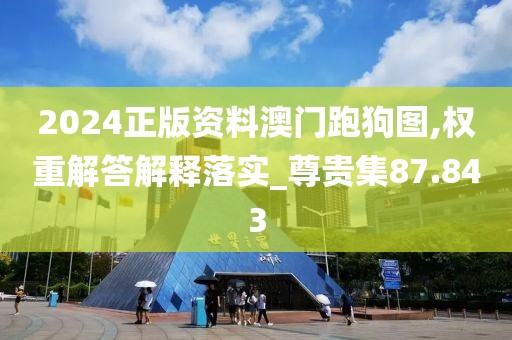 2024正版资料澳门跑狗图,权重解答解释落实_尊贵集87.843