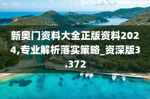 新奥门资料大全正版资料2024,专业解析落实策略_资深版3.372