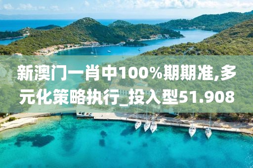 新澳门一肖中100%期期准,多元化策略执行_投入型51.908