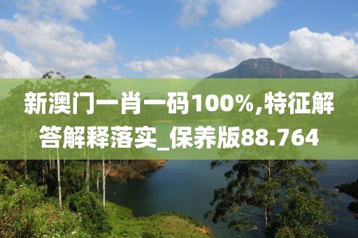 新澳门一肖一码100%,特征解答解释落实_保养版88.764
