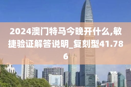 2024澳门特马今晚开什么,敏捷验证解答说明_复刻型41.786