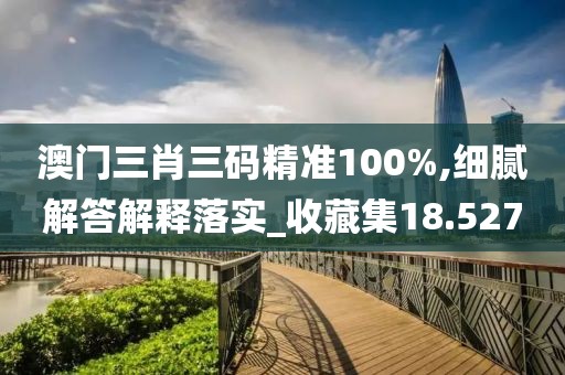 澳门三肖三码精准100%,细腻解答解释落实_收藏集18.527