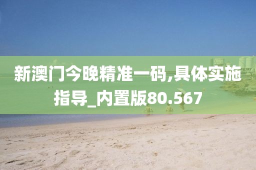 新澳门今晚精准一码,具体实施指导_内置版80.567