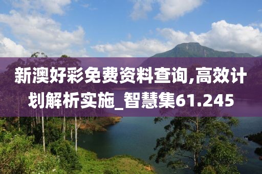 新澳好彩免费资料查询,高效计划解析实施_智慧集61.245