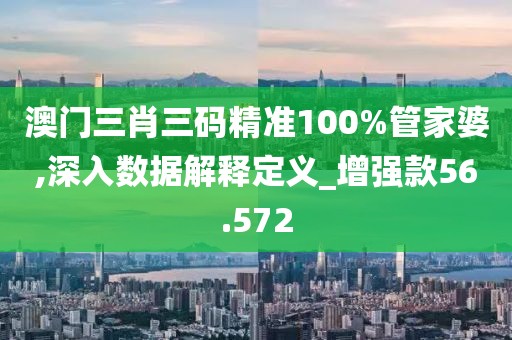 澳门三肖三码精准100%管家婆,深入数据解释定义_增强款56.572