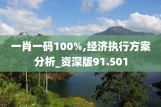 一肖一码100%,经济执行方案分析_资深版91.501