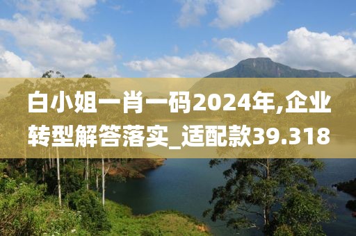 白小姐一肖一码2024年,企业转型解答落实_适配款39.318