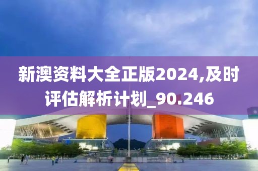 新澳资料大全正版2024,及时评估解析计划_90.246