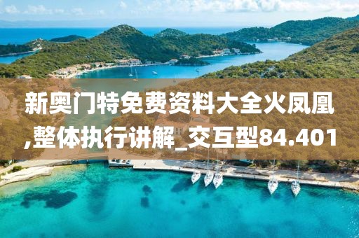 新奥门特免费资料大全火凤凰,整体执行讲解_交互型84.401