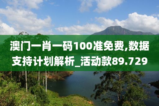 澳门一肖一码100准免费,数据支持计划解析_活动款89.729