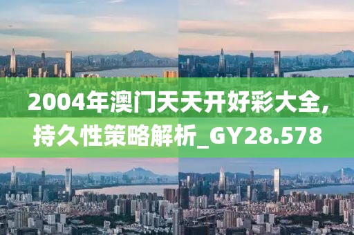 2004年澳门天天开好彩大全,持久性策略解析_GY28.578