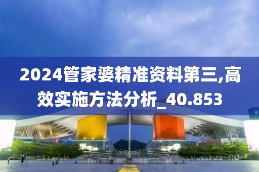 2024管家婆精准资料第三,高效实施方法分析_40.853
