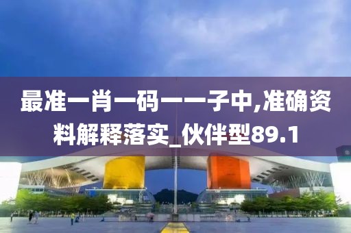 最准一肖一码一一子中,准确资料解释落实_伙伴型89.1