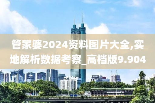 管家婆2024资料图片大全,实地解析数据考察_高档版9.904