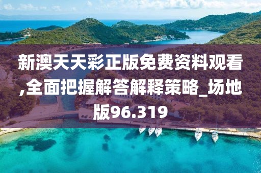 新澳天天彩正版免费资料观看,全面把握解答解释策略_场地版96.319