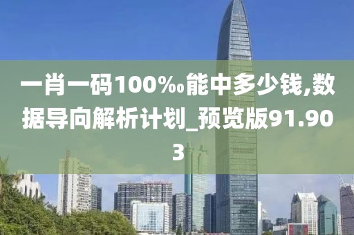 一肖一码100‰能中多少钱,数据导向解析计划_预览版91.903