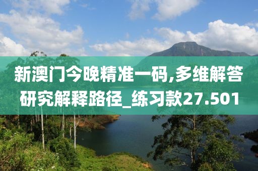 新澳门今晚精准一码,多维解答研究解释路径_练习款27.501