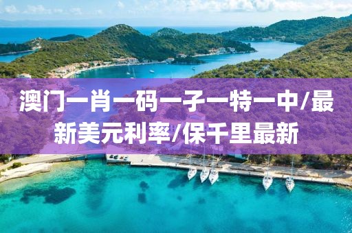 澳门一肖一码一孑一特一中/最新美元利率/保千里最新