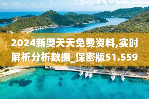 2024新奥天天免费资料,实时解析分析数据_保密版51.559