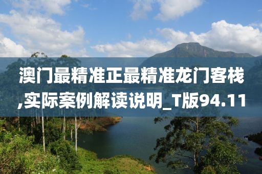 澳门最精准正最精准龙门客栈,实际案例解读说明_T版94.11